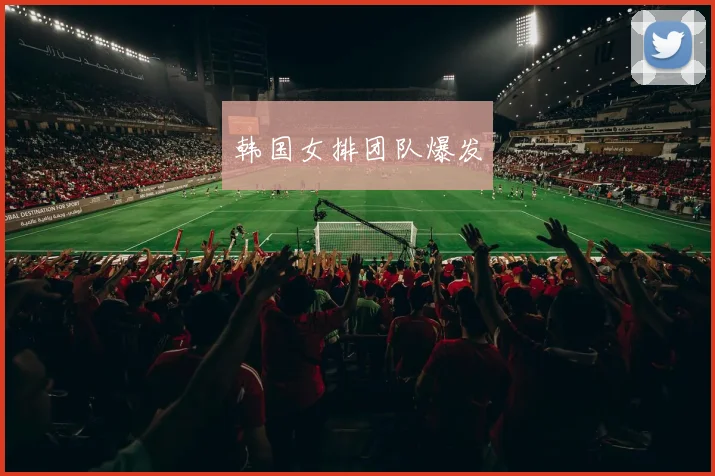 韩国女排团队爆发
