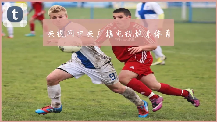 央视网中央广播电视娱乐体育