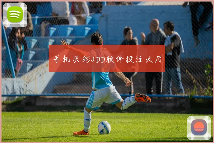手机买彩app软件投注大厅