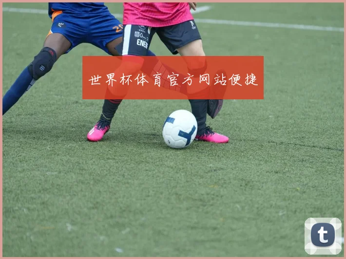 世界杯体育官方网站便捷