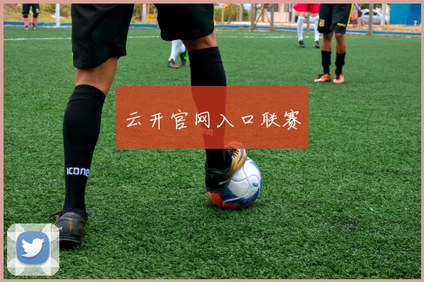 云开官网入口联赛