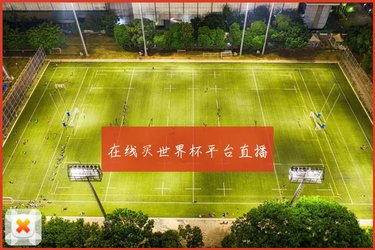 在线买世界杯平台直播