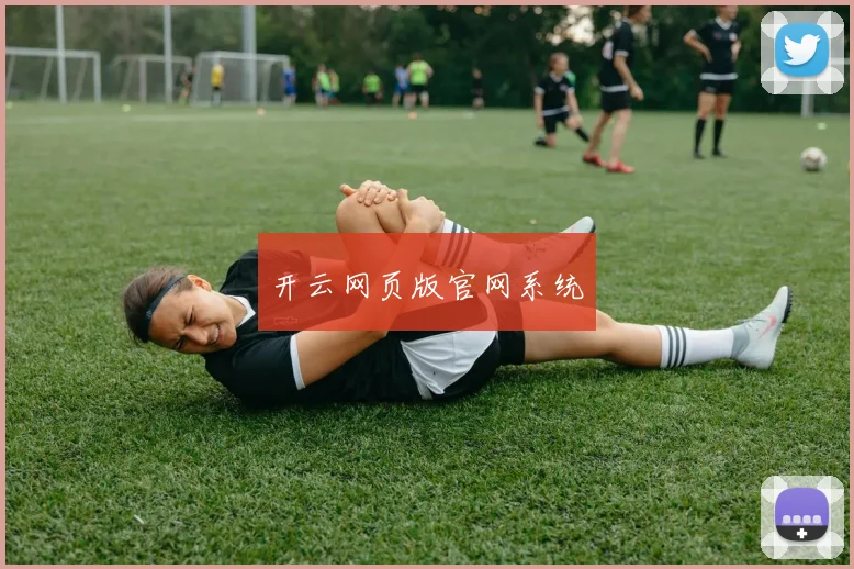 开云网页版官网系统