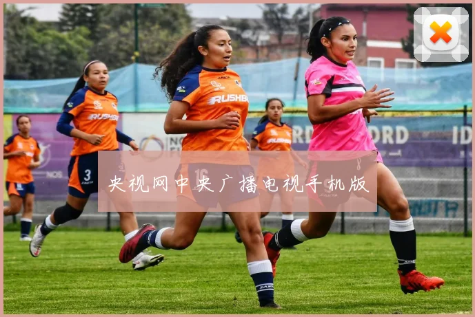 央视网中央广播电视手机版