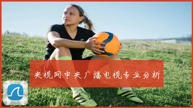 央视网中央广播电视专业分析