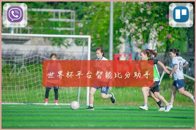 世界杯平台智能比分助手