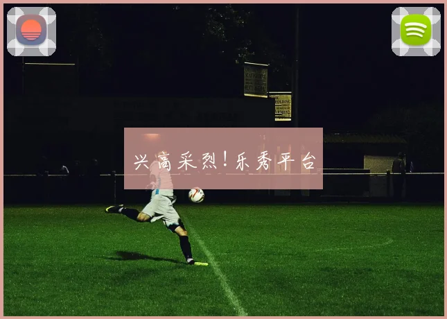 兴高采烈!乐秀平台