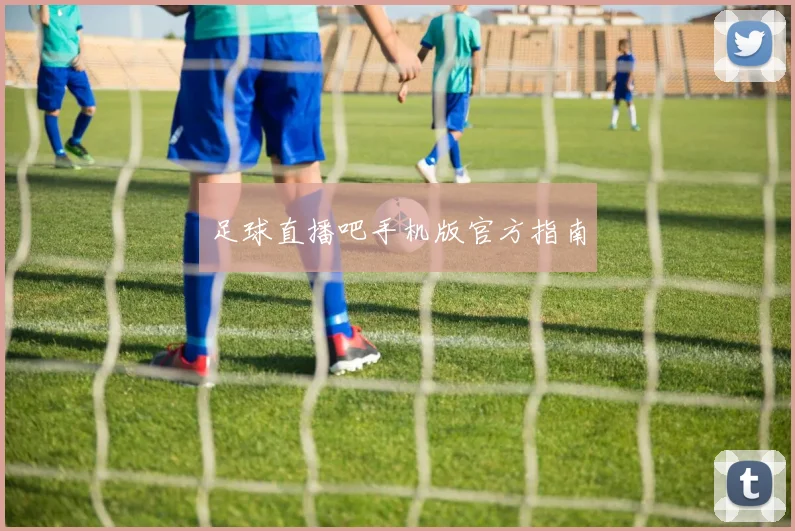 足球直播吧手机版官方指南