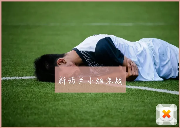 新西兰小组末战