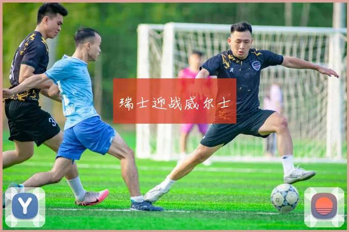 瑞士迎战威尔士