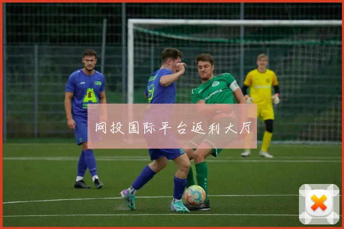网投国际平台返利大厅