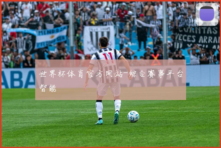 世界杯体育官方网站-综合赛事平台智能