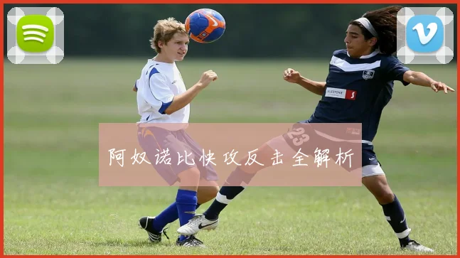 阿奴诺比快攻反击全解析