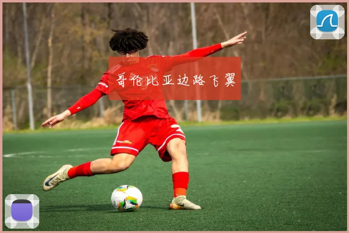 哥伦比亚边路飞翼