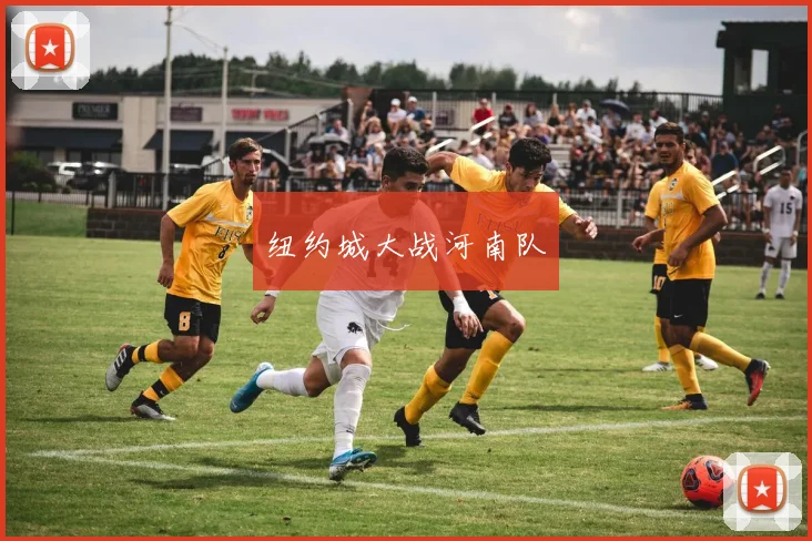 纽约城大战河南队