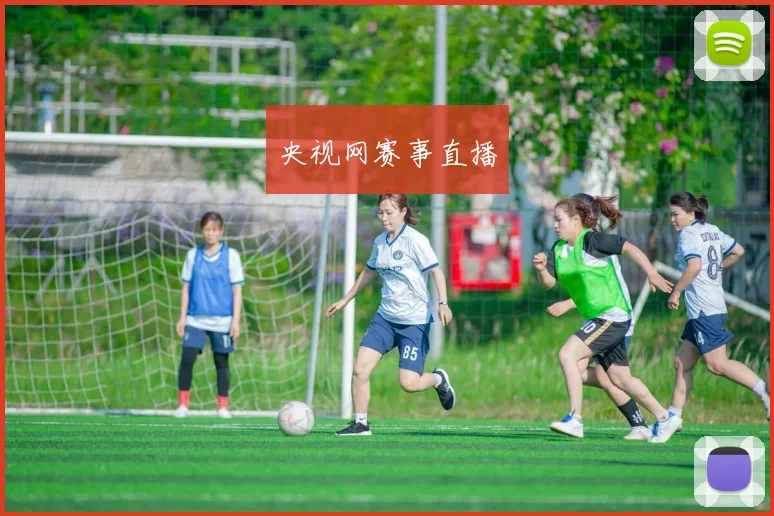 央视网赛事直播