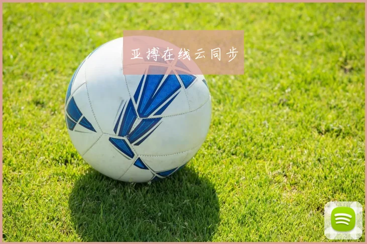 亚搏在线云同步