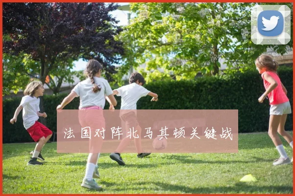 法国对阵北马其顿关键战