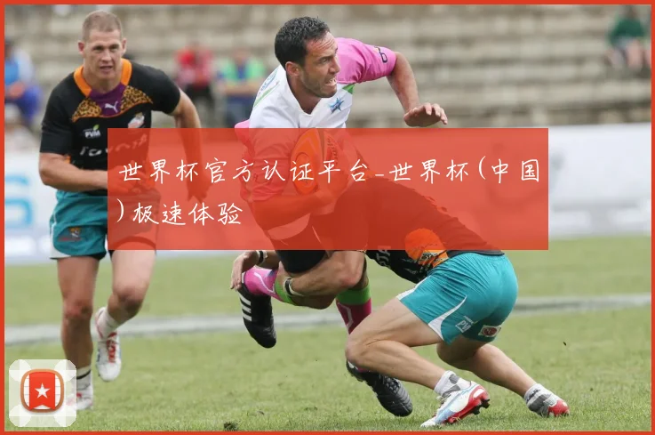世界杯官方认证平台_世界杯(中国)极速体验