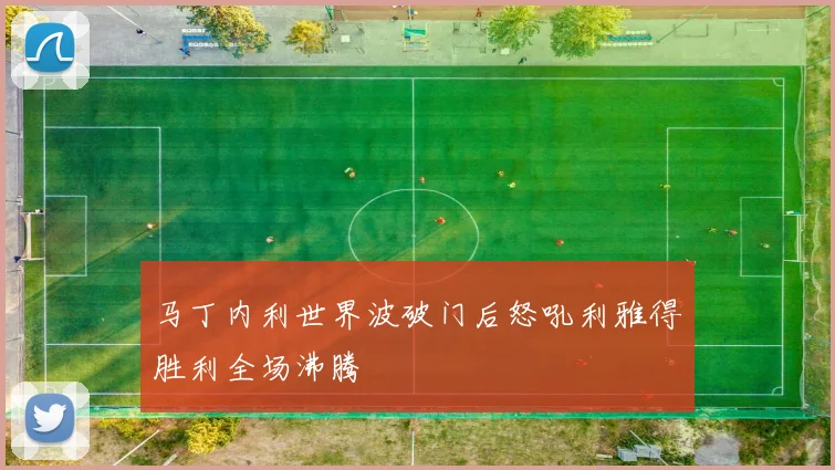 马丁内利世界波破门后怒吼利雅得胜利全场沸腾