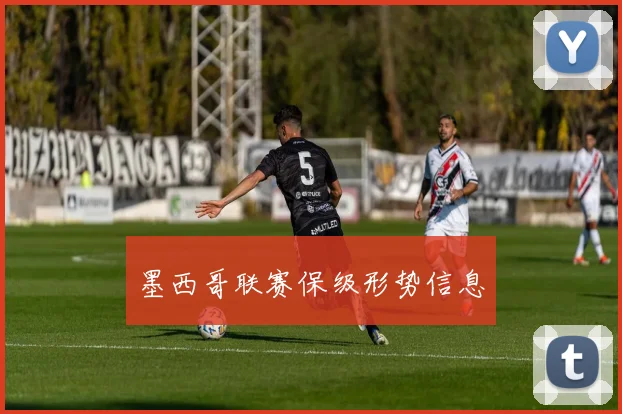 墨西哥联赛保级形势信息